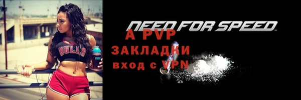 сатива Белокуриха