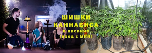 сатива Белокуриха