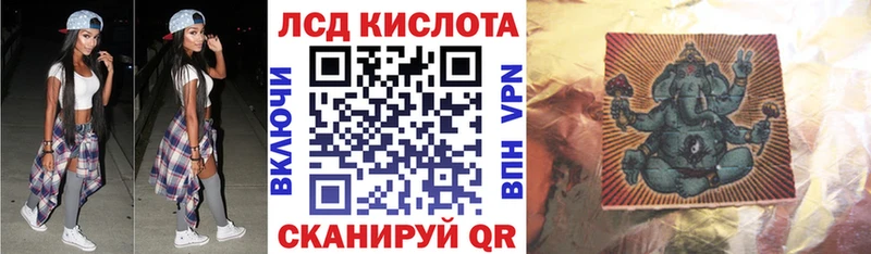 дарнет шоп  ссылка на мегу рабочий сайт  Наркотические марки 1,8мг  Котлас 
