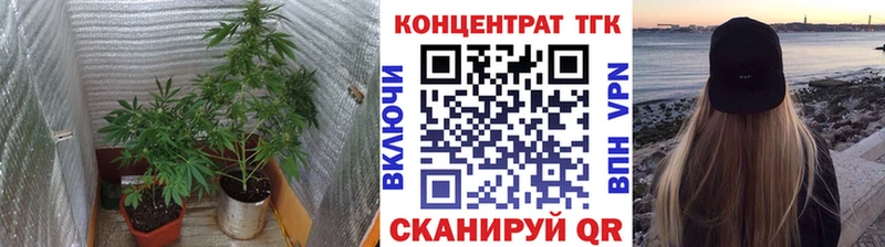 ТГК Wax Котлас