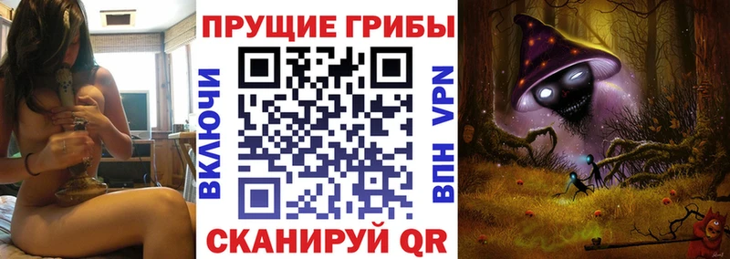 как найти закладки  Котлас  Галлюциногенные грибы MAGIC MUSHROOMS 
